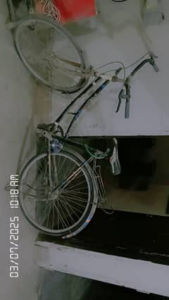 Urjant