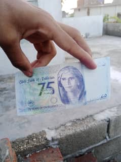 75
