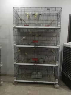 2 cage 8portion