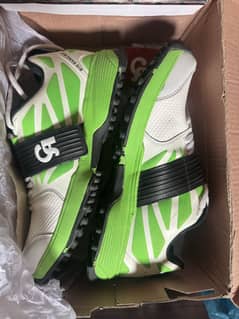 Ca original shoes size 8