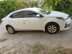 altis 1.6