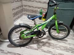16 " Kids Schwinn Germilin Bicycle