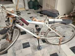 cycle for sale