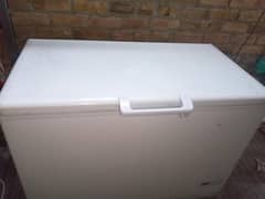 Haier frezer lush condition