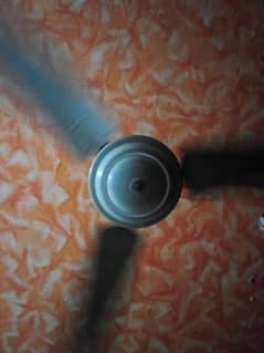 celling