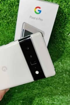 Google Pixel 6 Pro PTA Approved