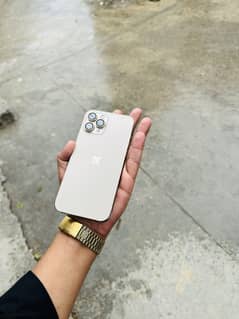 12pro