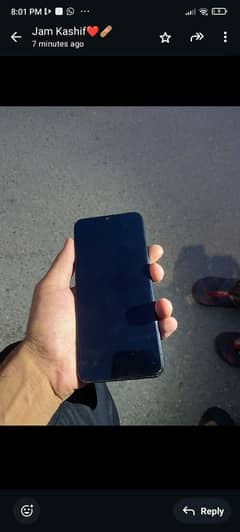 vivo