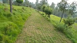 1 kanal residential plot near Helping hand inst, silk road, Abbottabad