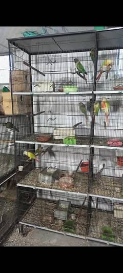 8 portions cage available