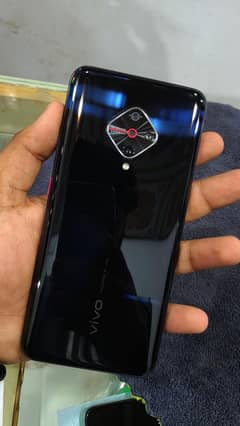 vivo