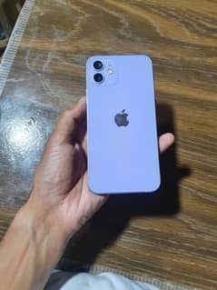 I phone 12
