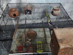 full cage including birds are for sale
