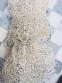 Cricket net