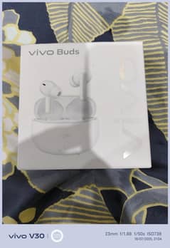 vivo buds