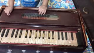indian harmonium reed bhargava contact 03218809595