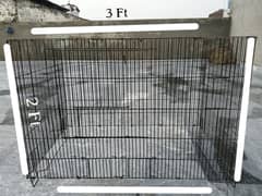 Birds Cage.