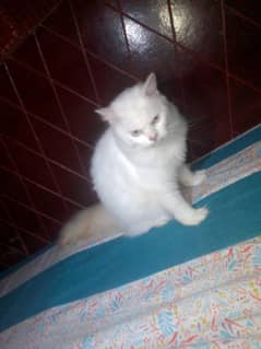 for