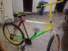new cycle