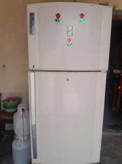 jumbo size fridge for sale