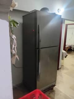 pel full size refrigerator (negotiable)