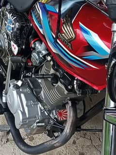 Honda 125 2024 model