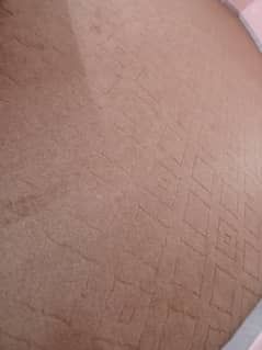 carpet in new condition just 1 month use . .