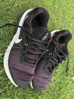 Original Nike Zoom Prevail(Price is Flexible)
