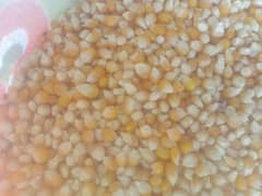 malik Asif pop corn  dealor