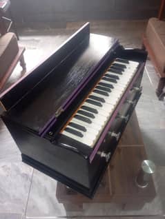 Musical Instruments