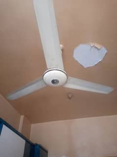 pakfan