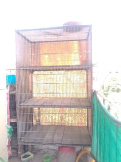 Birds,