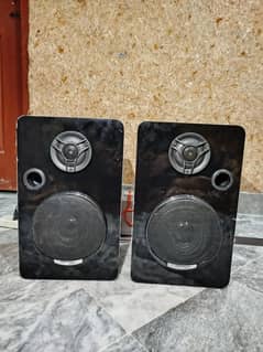 pioneer