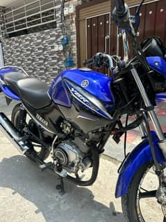 yamaha ybr
