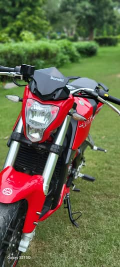 benelli tnt 25 250cc