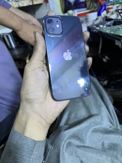 iphone 12 Only sale