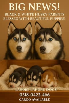 Beautiful