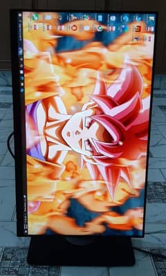 Dell 24inch IPS Bazzelless HDMI Gaming LED Monitor