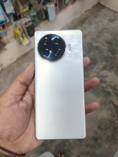 10 by 10 condition shield back