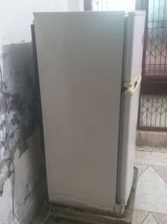 Pel Fridge Good Condition