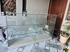 Shop counter new