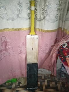 Coconut Bat