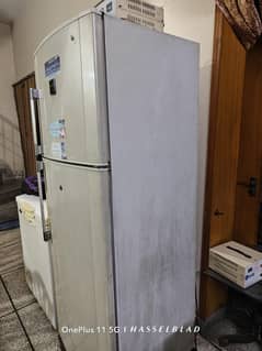 Dawlance Full size fridge