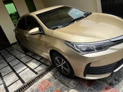 Face lifted (2019) GLI