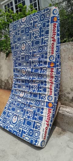 Single Bed Master Molty Foam Mattres for Sale