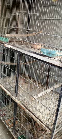 2 creameno 1 PCs decino or ek cage h 5 khano ka