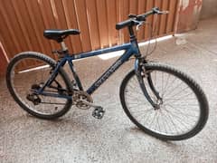 Mountain M700 Imported Cycle