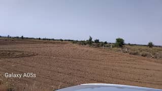 80 kanal agricultural land for chakwal