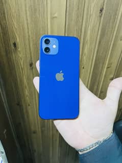 iPhone 12 / 128gb / PTA Aprov