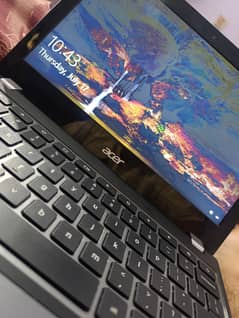 Acer